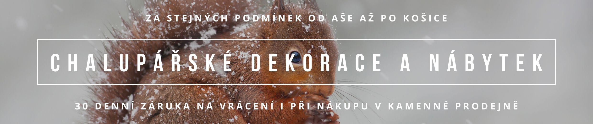 Bytové dekorace Novaline