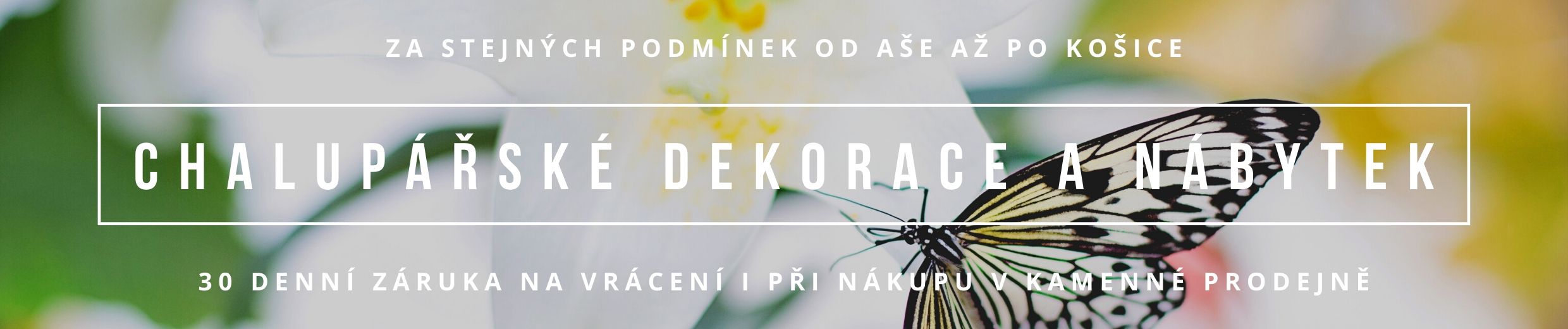 Bytové dekorace Novaline