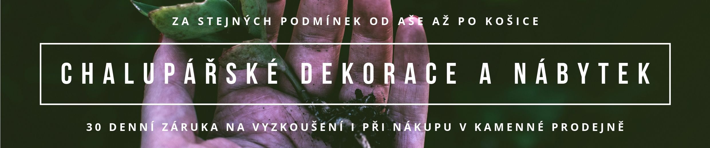 Bytové dekorace Novaline