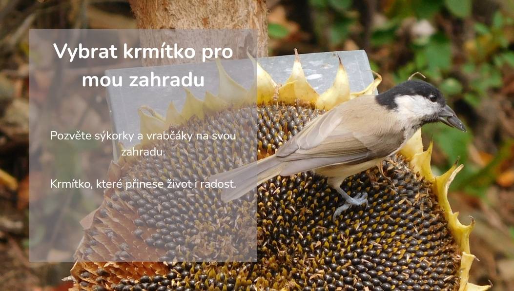 krmítko pro ptáky