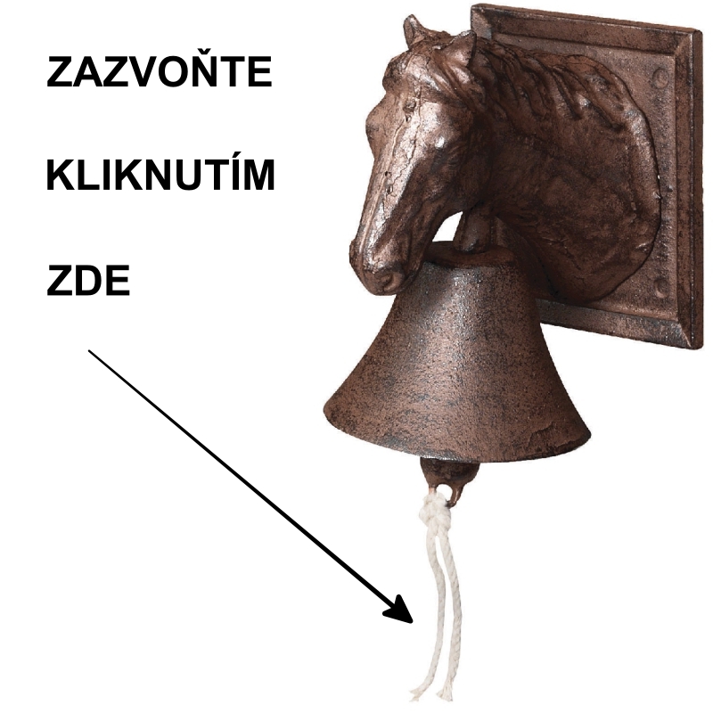 Domovn&iacute; zvonek