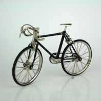 19x11 cm Závodní kolo