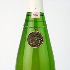 Amulet znamení Ryby 20.2 - 19.3 kovový medailon na láhev 3cm