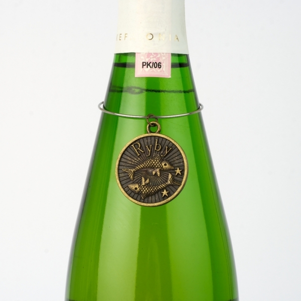 Amulet znamení Ryby 20.2 - 19.3 kovový medailon na láhev 3cm