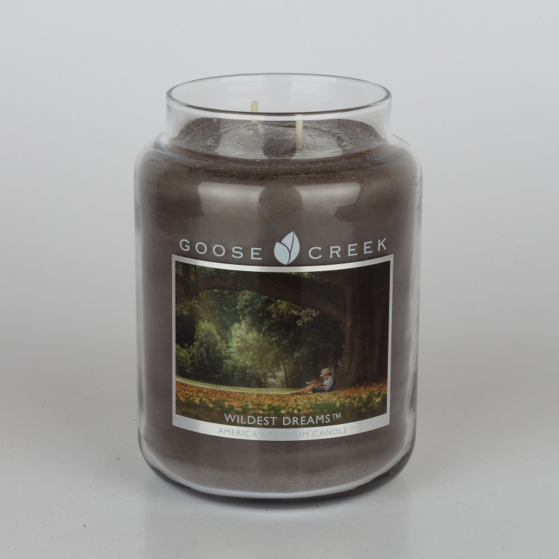 Aromatická svíčka ve skle divoké sny Goose Creek 680g
