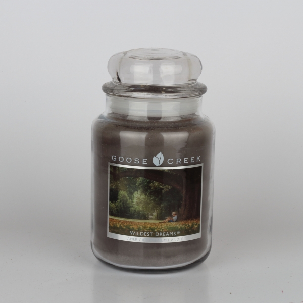Aromatická svíčka ve skle divoké sny Goose Creek 680g