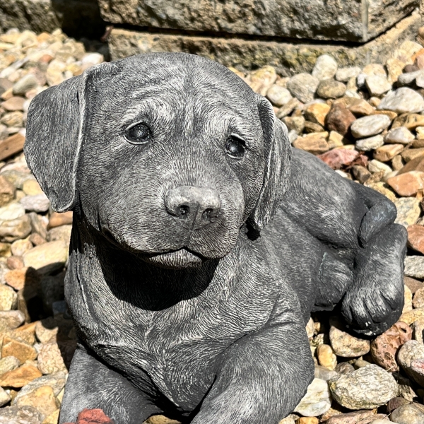 Betonová socha labrador s kostí 40 cm 10 kg