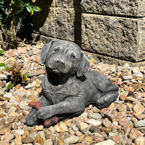 Betonová socha labrador s kostí 40 cm 10 kg