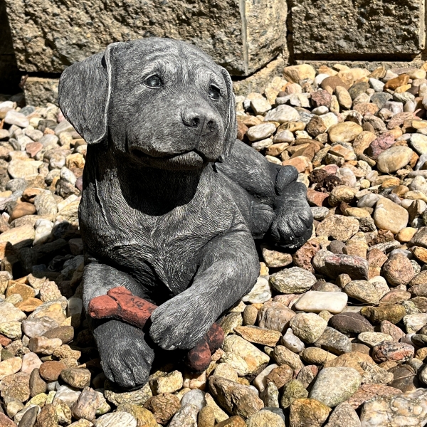 Betonová socha labrador s kostí 40 cm 10 kg