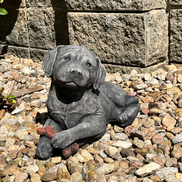 Betonová socha labrador s kostí 40 cm 10 kg