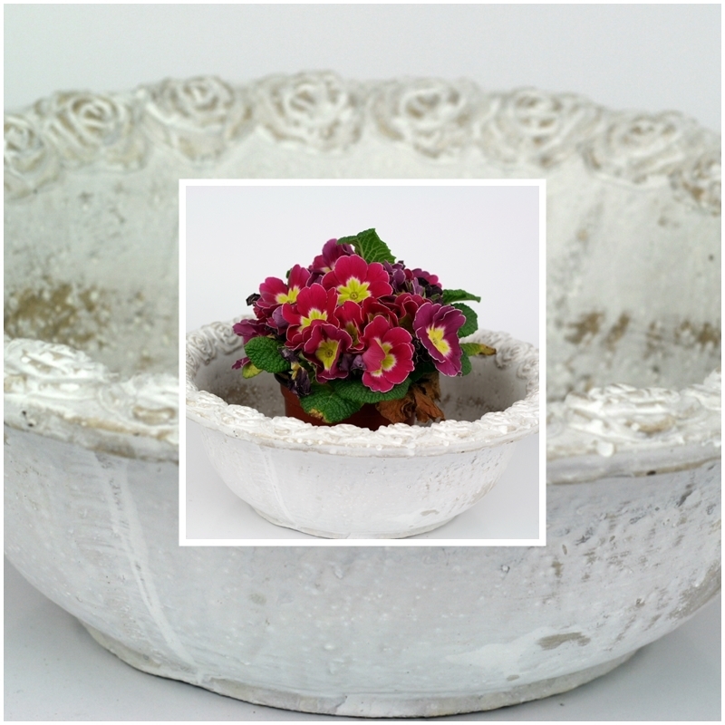 Betonový květináč mísa s motivem růží 23,5cm