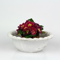 Betonový květináč mísa s motivem růží 23,5cm