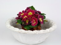 Betonový květináč mísa s motivem růží 23,5cm