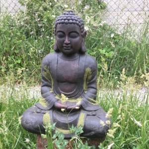 Buddha velký - vyřazeno