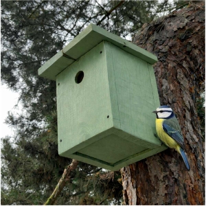 Budka pro modřinky 28 mm zelená – EKO přírodní nátěr