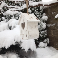 Budka pro ptáky 18,5 cm 