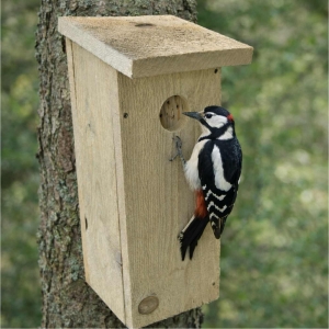 Budka pro strakapouda a datla – česká hnízdní dutina z přírodního dřeva