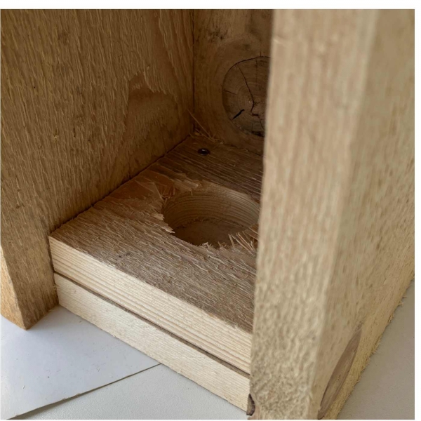 Budka pro strakapouda a datla – česká hnízdní dutina z přírodního dřeva