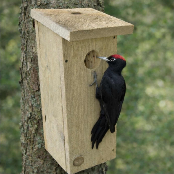 Budka pro strakapouda a datla – česká hnízdní dutina z přírodního dřeva