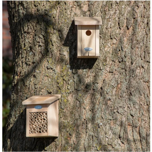 Budka pro střízlíka 14 x 16 x 22 cm