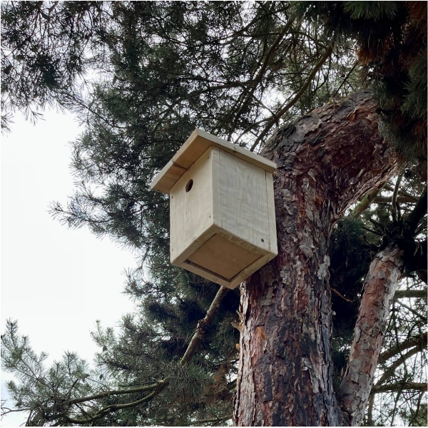 Budka pro sýkorky 28 mm bez nátěru