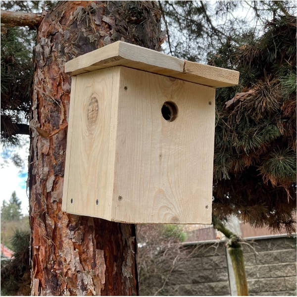 Budka pro sýkorky 28 mm bez nátěru
