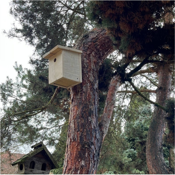 Budka pro sýkorky 28 mm bez nátěru