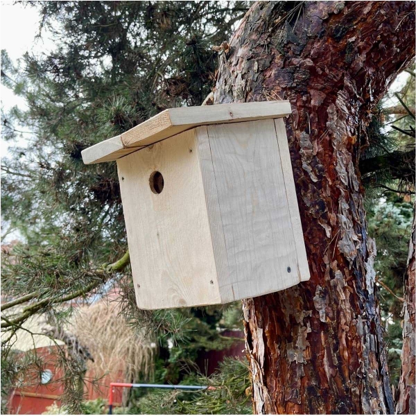 Budka pro vrabce z přírodního dřeva 34 mm - bez nátěru