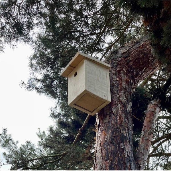 Budka pro vrabce z přírodního dřeva 34 mm - bez nátěru