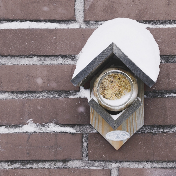 Burákové máslo pro ptáky 340 g