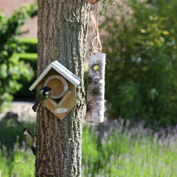 Burákové máslo pro ptáky 340 g