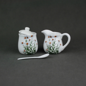 Cukřenka a mléčenka kopretina