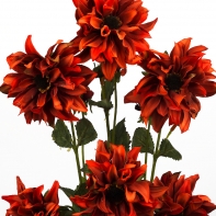 Dahlie červená x2 17x75x17cm