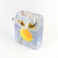 Dárková taška 6x12x14cm pampeliška