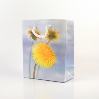 Dárková taška 6x12x14cm pampeliška