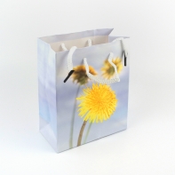 Dárková taška 6x12x14cm pampeliška