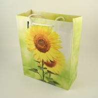 Dárková taška 8x18x22cm