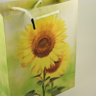 Dárková taška 8x18x22cm