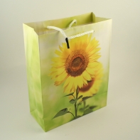 Dárková taška 8x18x22cm