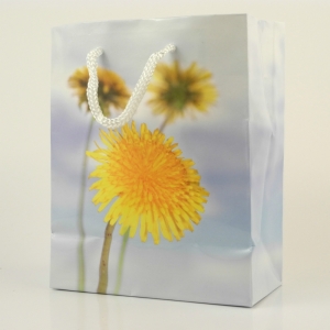 Dárková taška pampeliška 8x10x18cm