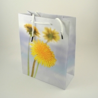 Dárková taška pampeliška 8x10x18cm