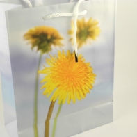 Dárková taška pampeliška 8x10x18cm