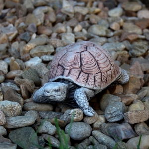Dekorace do zahrady želva 11,5x18,5x8cm