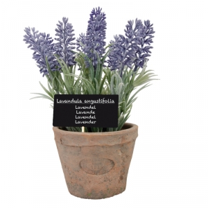 Dekorace levandule v květináči