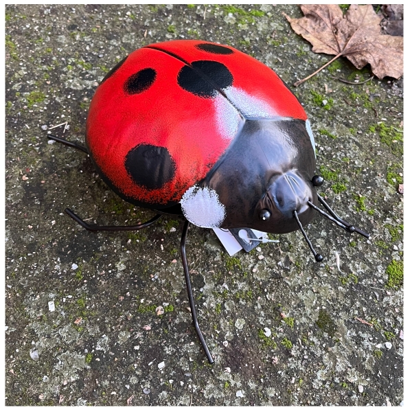 Dekorace na stěnu beruška 24x21x11,5cm