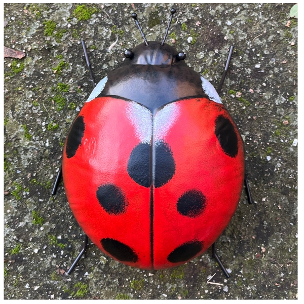 Dekorace na stěnu beruška 24x21x11,5cm