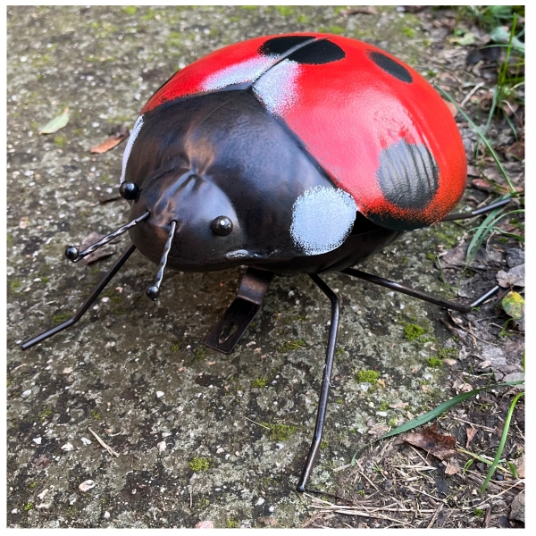 Dekorace na stěnu beruška 24x21x11,5cm