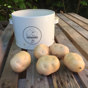 Dóza na brambory bez víka