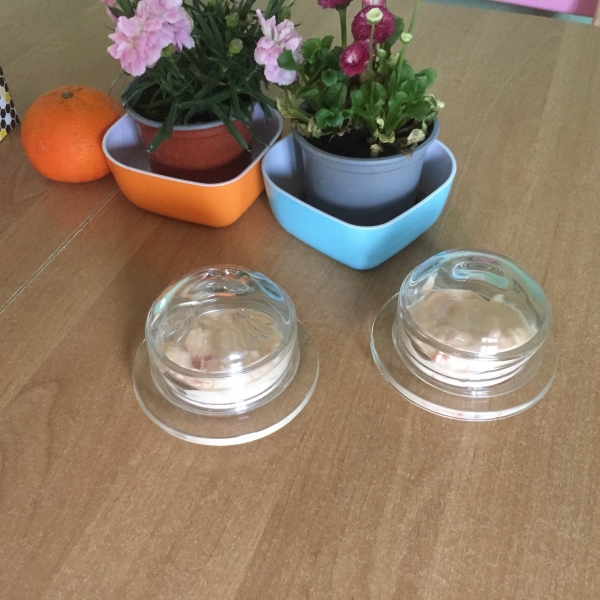 Dóza na máslo skleněná Libellules 7,5cm