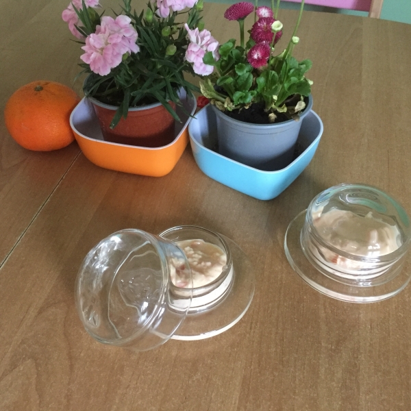 Dóza na máslo skleněná Libellules 7,5cm